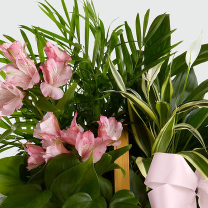 Living Spirit Dishgarden – STEMZ FLORIST & TREASURES, Calgary AB