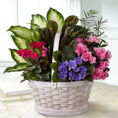 Peaceful Garden Planter – STEMZ FLORIST & TREASURES, Calgary AB