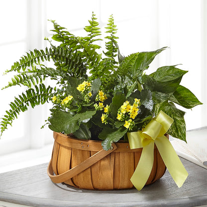 Always Dear Dishgarden – STEMZ FLORIST & TREASURES, Calgary AB