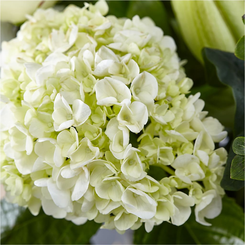 Classic Ivory – A Florist Original – STEMZ FLORIST & TREASURES, Calgary AB