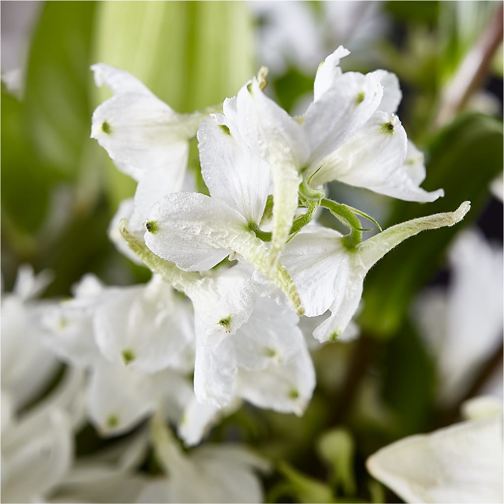 Classic Ivory – A Florist Original – STEMZ FLORIST & TREASURES, Calgary AB