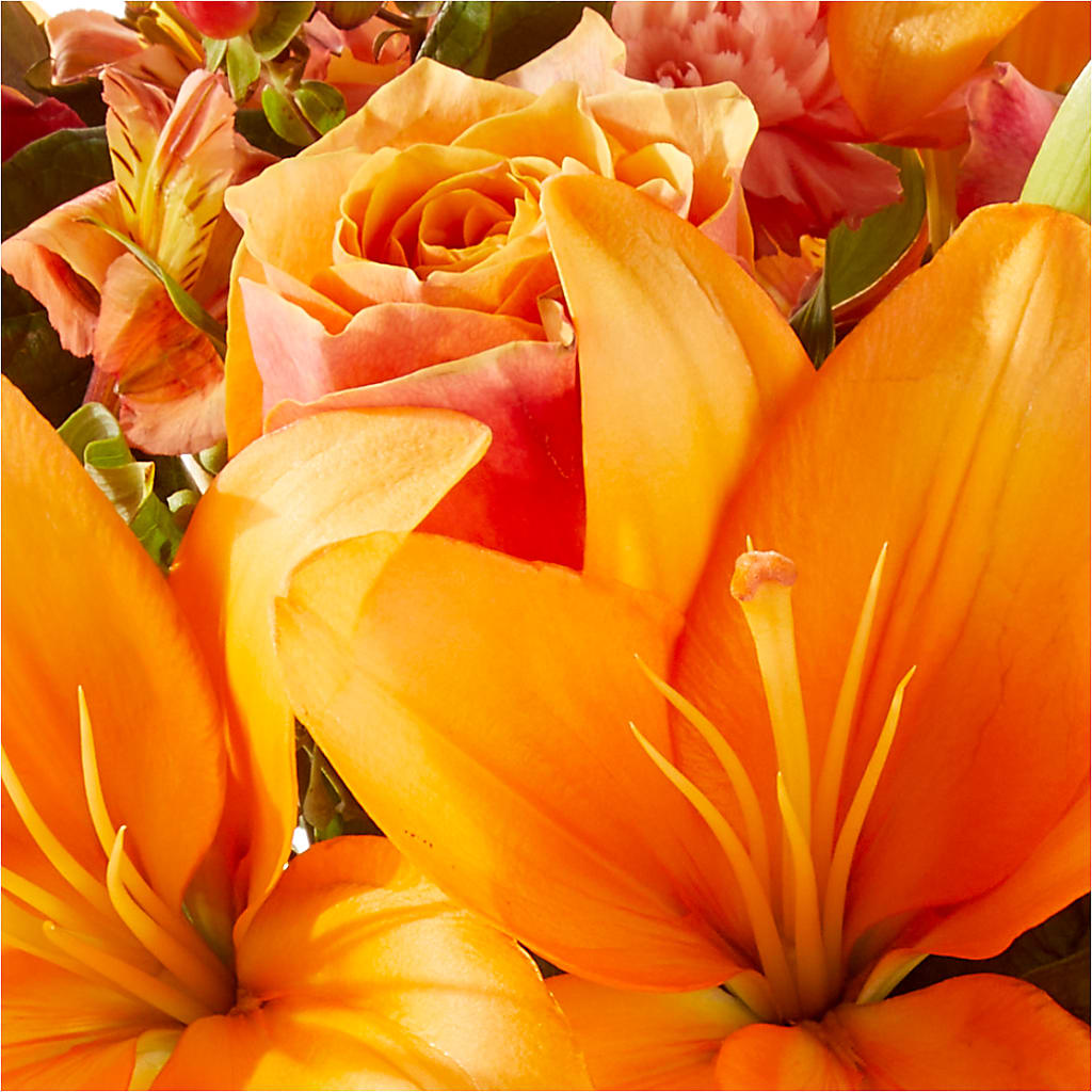 Afternoon Light Bouquet – STEMZ FLORIST & TREASURES, Calgary AB
