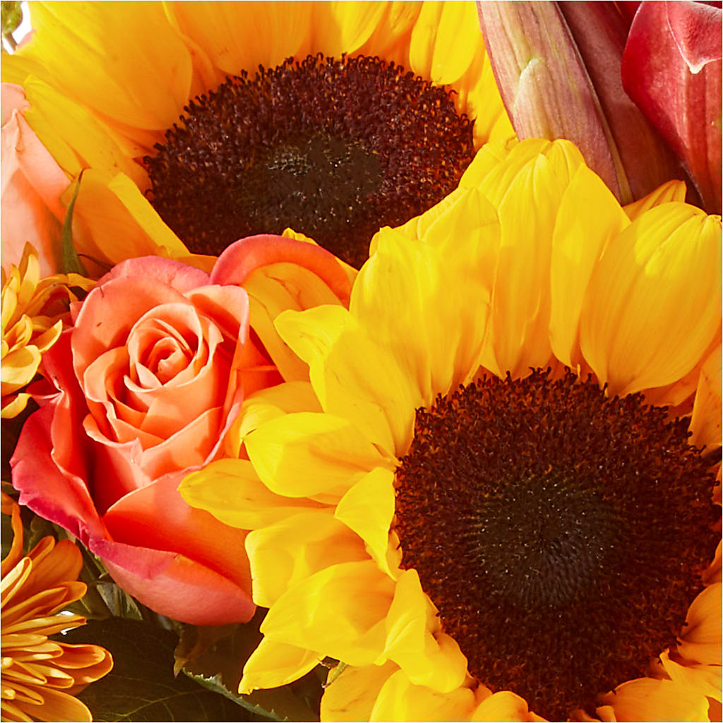 Acorn Lane Bouquet – STEMZ FLORIST & TREASURES, Calgary AB
