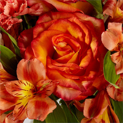 Apricot Glow Bouquet – STEMZ FLORIST & TREASURES, Calgary AB