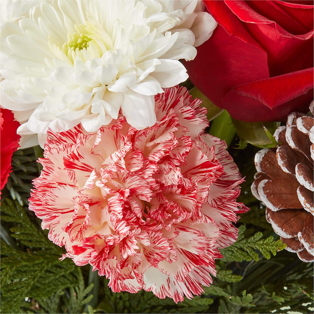 Candy Cane Lane Bouquet – STEMZ FLORIST & TREASURES, Calgary AB