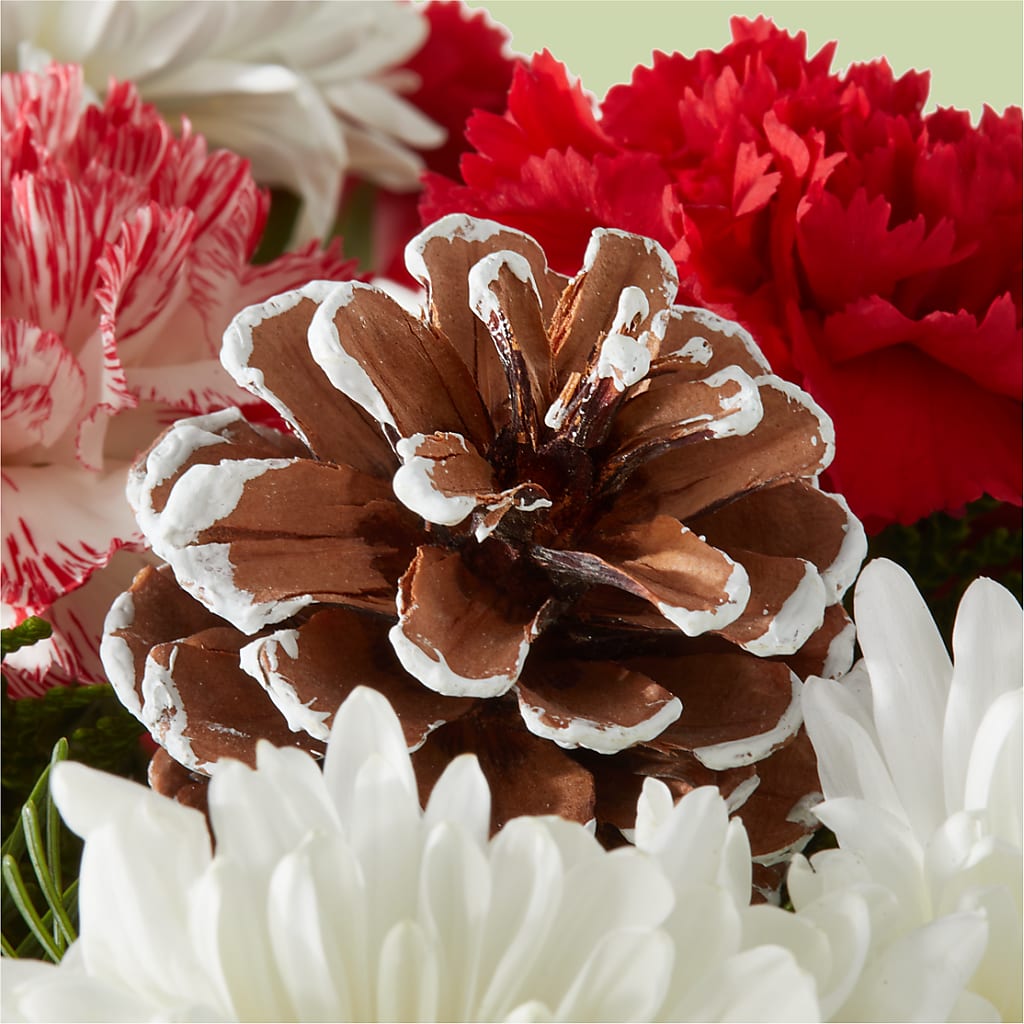Candy Cane Lane Bouquet – STEMZ FLORIST & TREASURES, Calgary AB