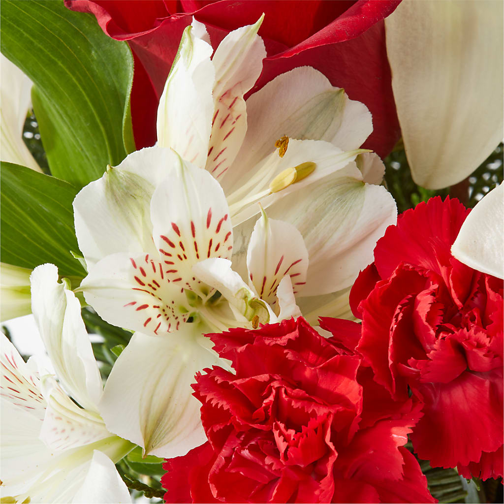 Holiday Season Bouquet – STEMZ FLORIST & TREASURES, Calgary AB