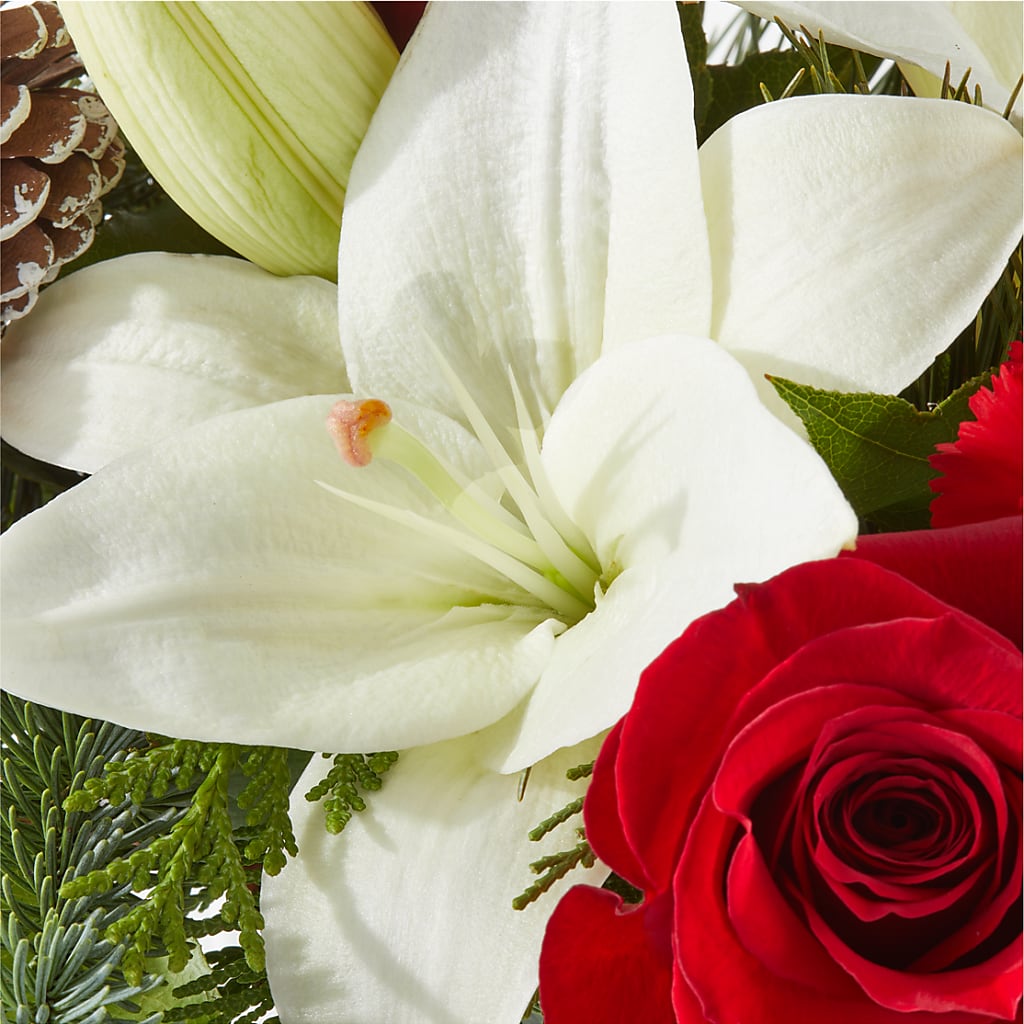 Oh So Jolly Bouquet – STEMZ FLORIST & TREASURES, Calgary AB