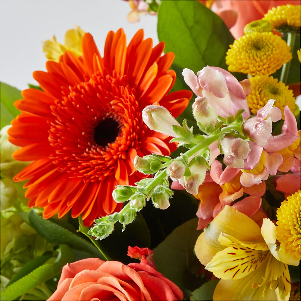 Autumn Sunshine Bouquet – STEMZ FLORIST & TREASURES, Calgary AB