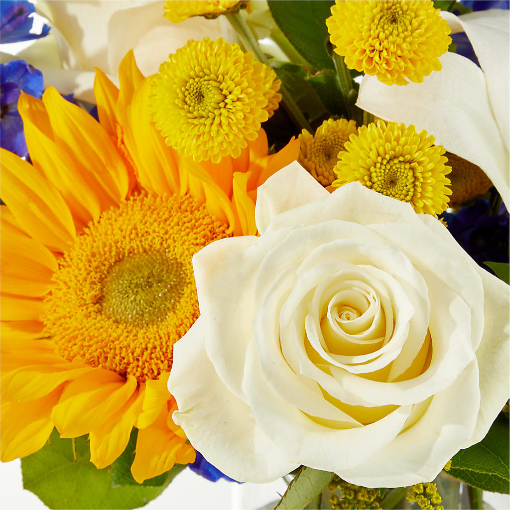 Stargazing Bouquet – STEMZ FLORIST & TREASURES, Calgary AB