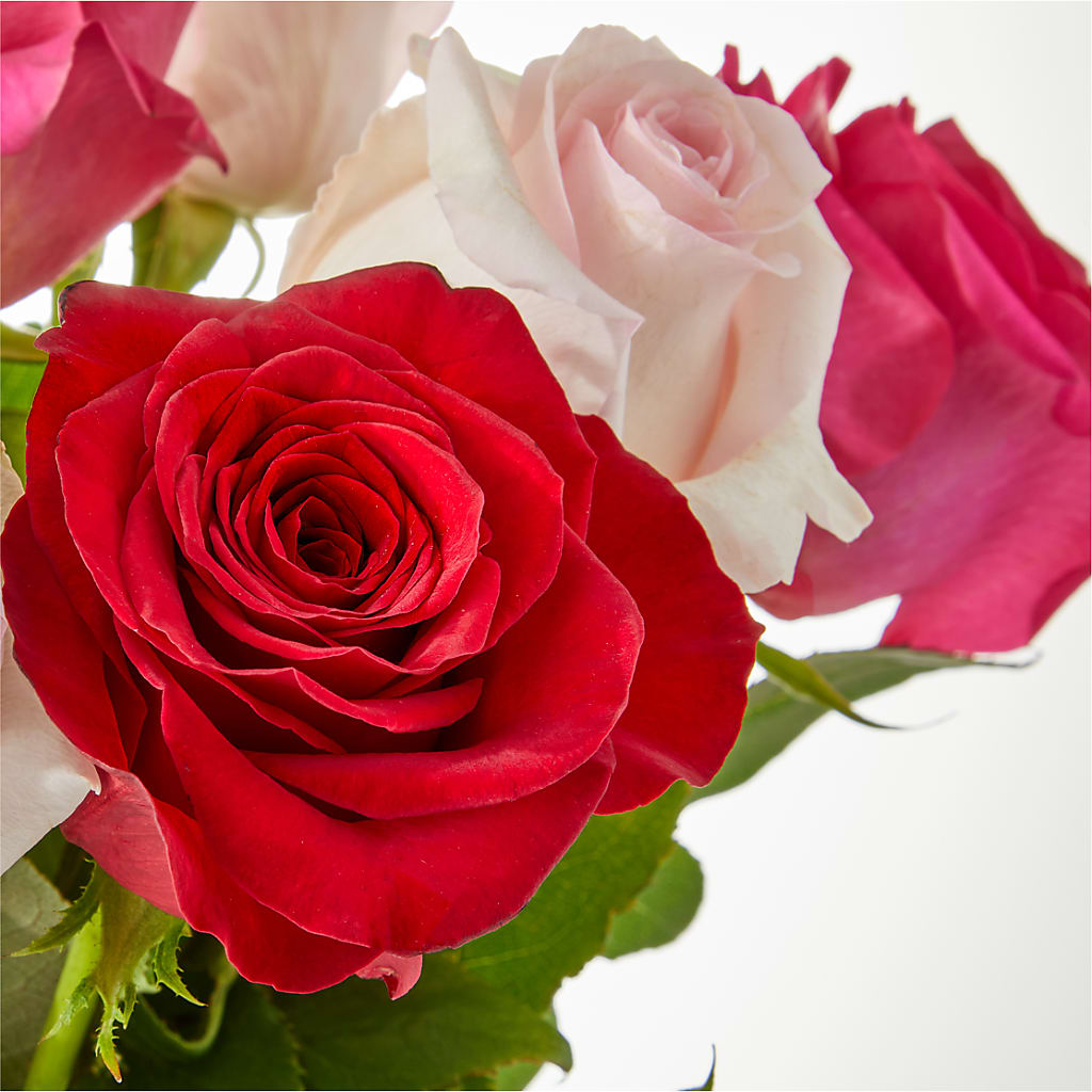 Charming Rose Bouquet – STEMZ FLORIST & TREASURES, Calgary AB