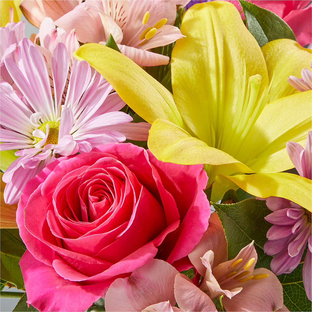 Sprinkles Bouquet – STEMZ FLORIST & TREASURES, Calgary AB
