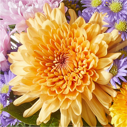 Countryside Bouquet – STEMZ FLORIST & TREASURES, Calgary AB