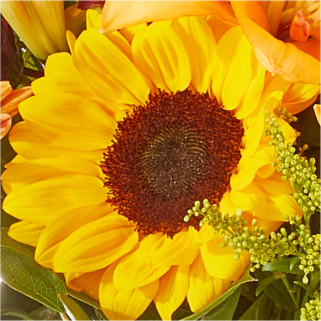 Seasons Change Bouquet – STEMZ FLORIST & TREASURES, Calgary AB