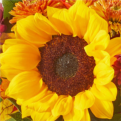 Sunny Side Bouquet – STEMZ FLORIST & TREASURES, Calgary AB