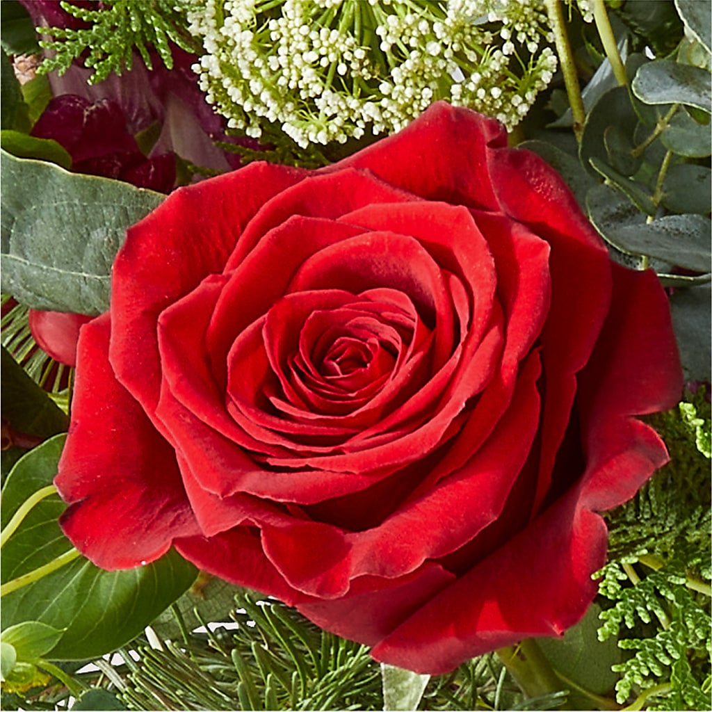 Cranberry Fizz Bouquet – STEMZ FLORIST & TREASURES, Calgary AB