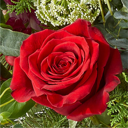 Cranberry Fizz Bouquet – STEMZ FLORIST & TREASURES, Calgary AB