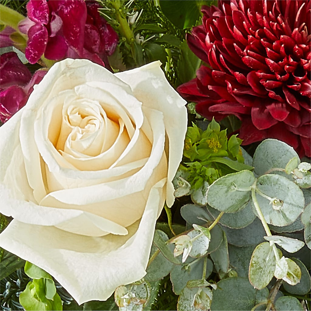 Cranberry Fizz Bouquet – STEMZ FLORIST & TREASURES, Calgary AB