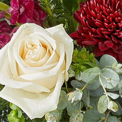 Cranberry Fizz Bouquet – STEMZ FLORIST & TREASURES, Calgary AB