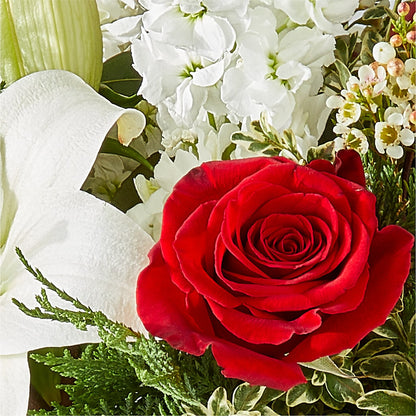 Twinkle Lights Bouquet – STEMZ FLORIST & TREASURES, Calgary AB