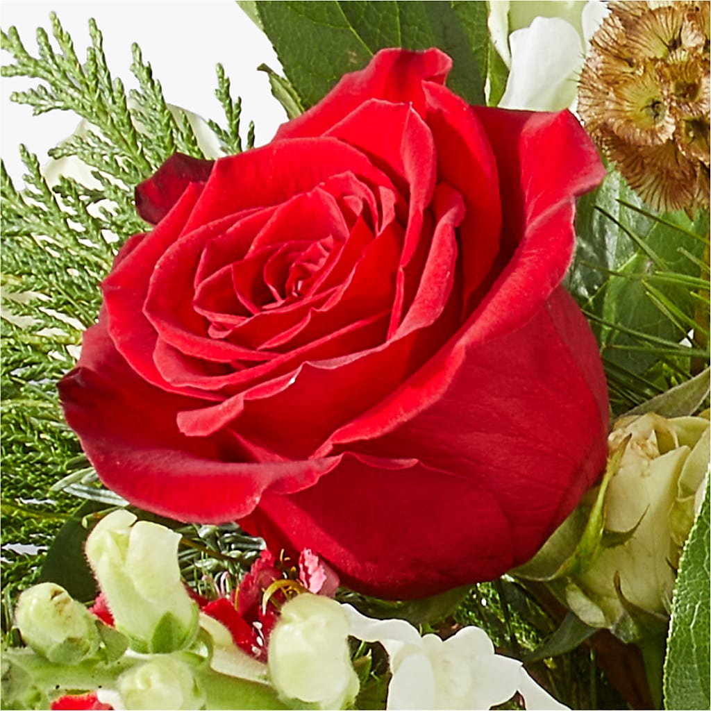 Deck the Halls Bouquet – STEMZ FLORIST & TREASURES, Calgary AB
