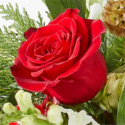 Deck the Halls Bouquet – STEMZ FLORIST & TREASURES, Calgary AB