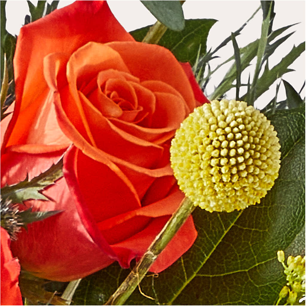 Disco Bouquet – STEMZ FLORIST & TREASURES, Calgary AB