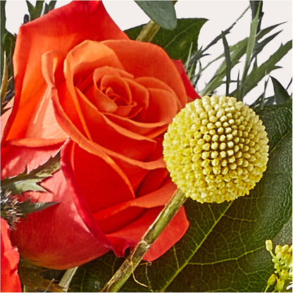 Disco Bouquet – STEMZ FLORIST & TREASURES, Calgary AB