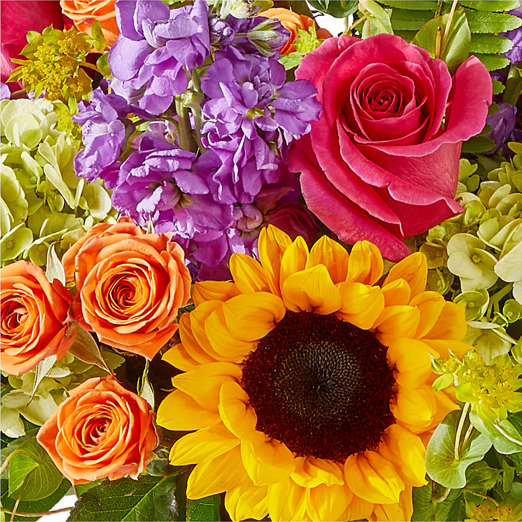 Vibrant Greetings Bouquet – STEMZ FLORIST & TREASURES, Calgary AB
