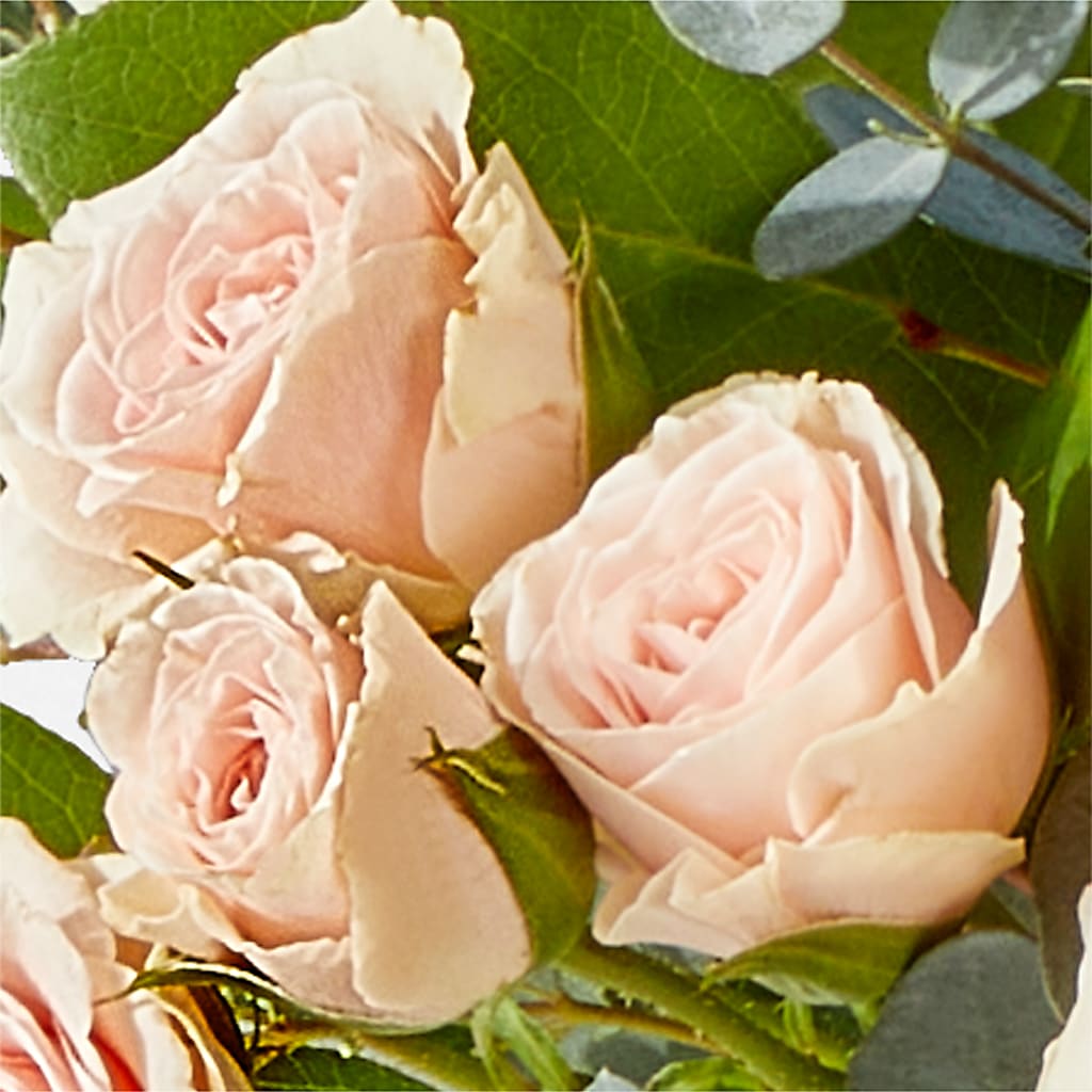 Inspired Bouquet – STEMZ FLORIST & TREASURES, Calgary AB