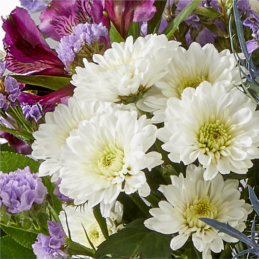 Shooting Star Bouquet – STEMZ FLORIST & TREASURES, Calgary AB