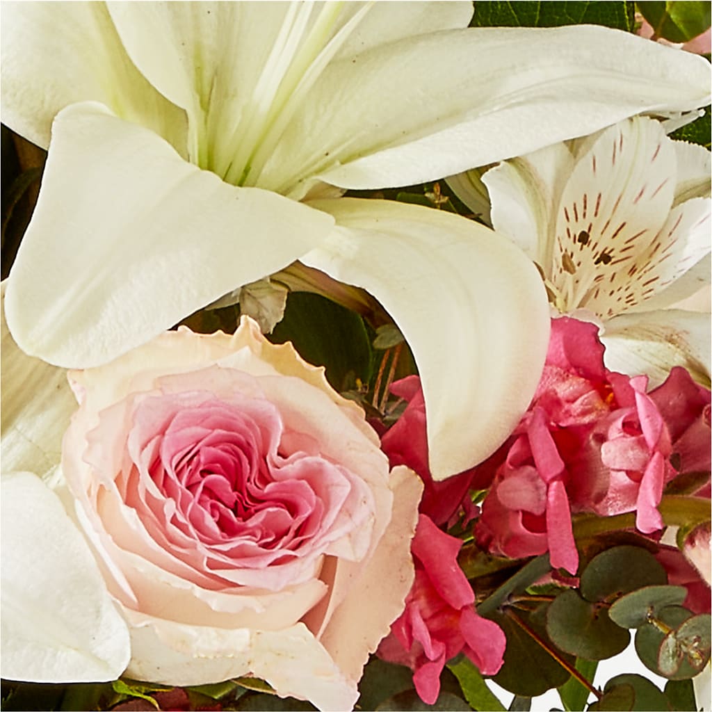 Ballet Slippers Bouquet – STEMZ FLORIST & TREASURES, Calgary AB