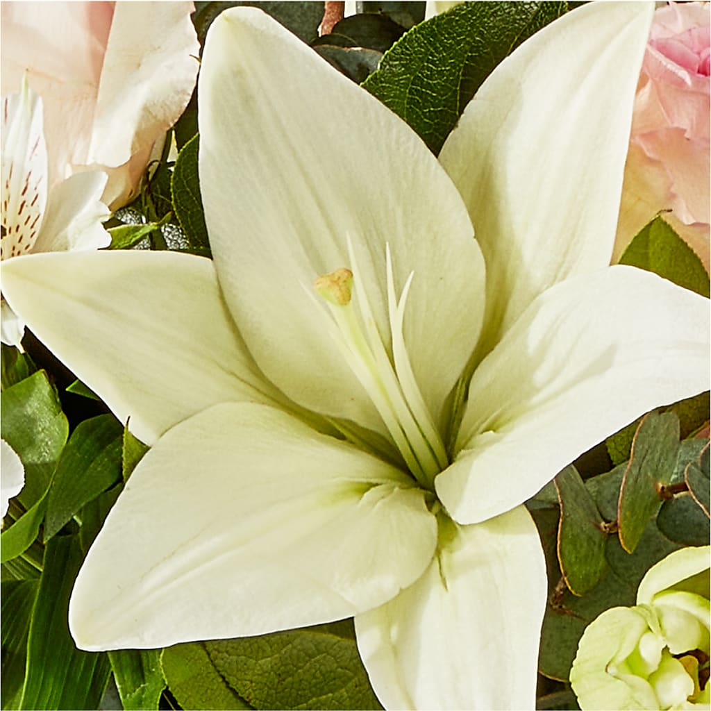 Ballet Slippers Bouquet – STEMZ FLORIST & TREASURES, Calgary AB