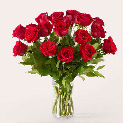 The One Red Rose Bouquet – STEMZ FLORIST & TREASURES, Calgary AB