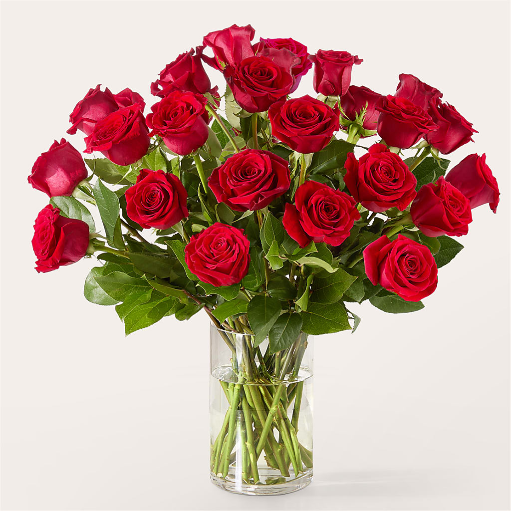 The One Red Rose Bouquet – STEMZ FLORIST & TREASURES, Calgary AB