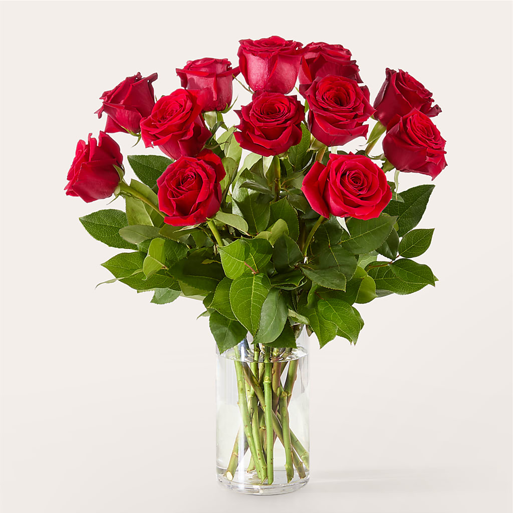 The One Red Rose Bouquet – STEMZ FLORIST & TREASURES, Calgary AB