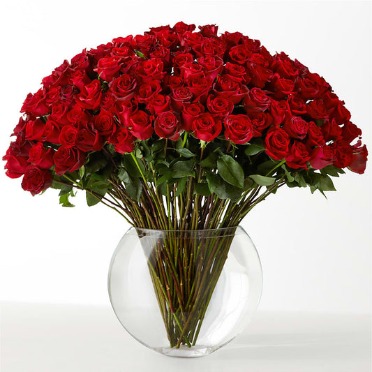 The Idealist – STEMZ FLORIST & TREASURES, Calgary AB