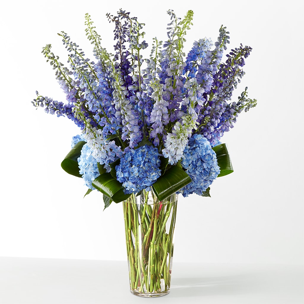 The Editorial – STEMZ FLORIST & TREASURES, Calgary AB