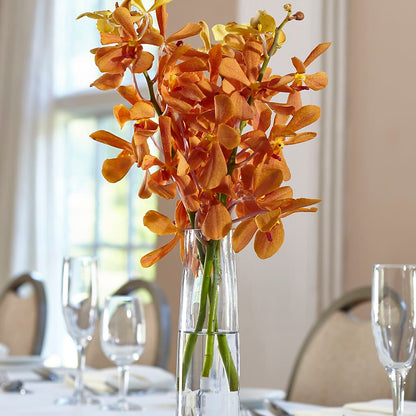 Orange Mokara Bud Vase – STEMZ FLORIST & TREASURES, Calgary AB