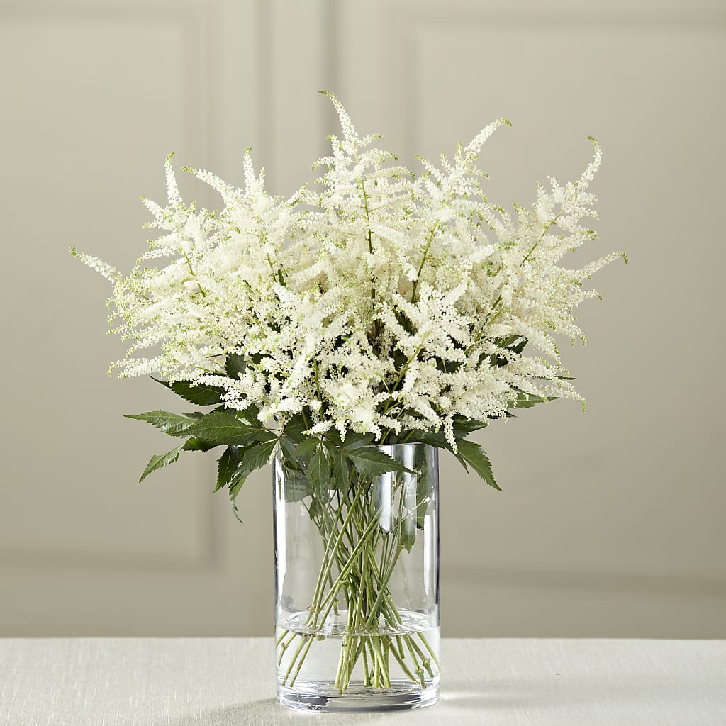 Ramo de astilbe blanco