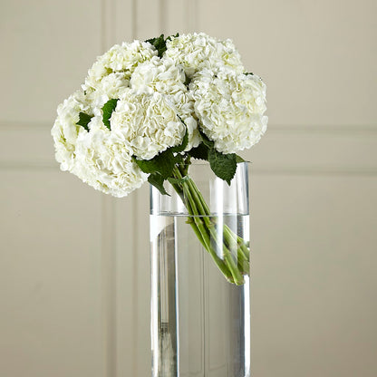 White Hydrangea Hand-Tied Bouquet – STEMZ FLORIST & TREASURES, Calgary AB