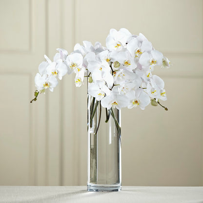 White Phalaenopsis Bouquet – STEMZ FLORIST & TREASURES, Calgary AB