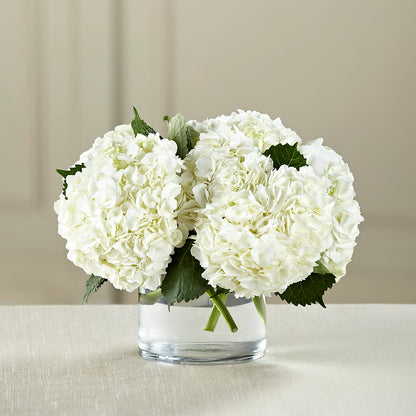 White Hydrangea Bouquet – STEMZ FLORIST & TREASURES, Calgary AB